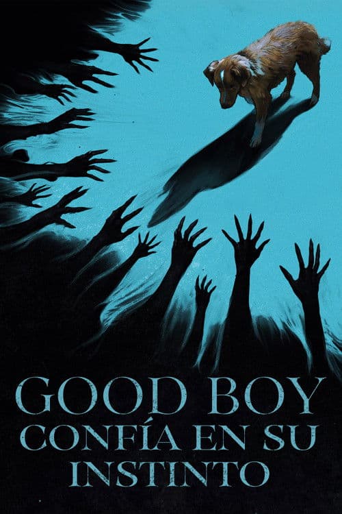 Good Boy: Confía en su instinto